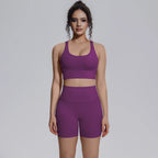 Seamless Yoga Set 2 Piece Women High Waist Leggings Shorts Sports Bra Fitness  Running Sportswear Workout Clothes